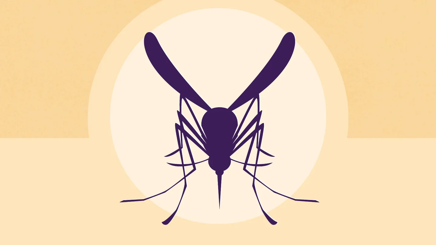 mosquito biting