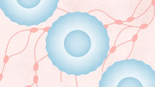 What Is T-Cell Lymphoma?