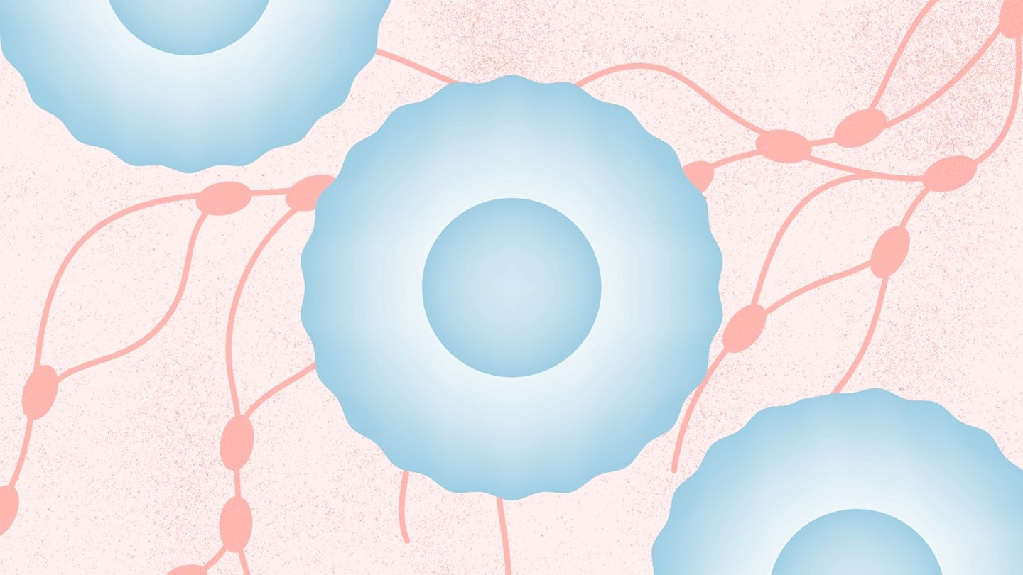 Illustration of T-Cells and lymph nodes